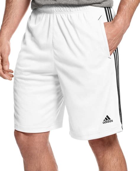 weiße adidas sport shorts männer amazon|Amazon.com: Mens White Adidas Shorts.